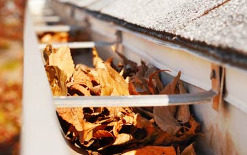 Pemberton gutter cleaning companies